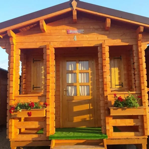 Căsuțe Suzanne Băile Figa-cu aer conditionat, hotel in Beclean