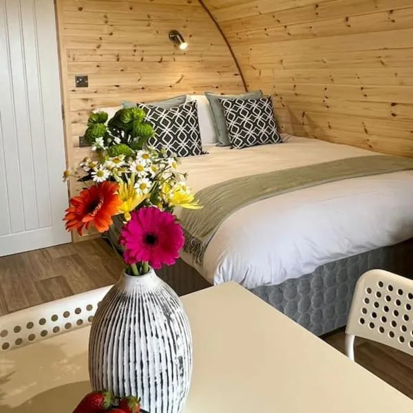 Plumgrove Pod Easkey、スライゴのホテル