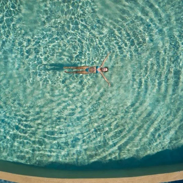 Danae Suites Santorini，位于伊亚的酒店