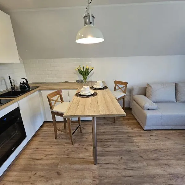 Apartament w sercu Oliwy – hotel w Gdańsku