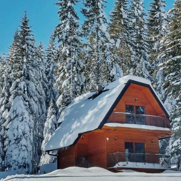 Planinska kuća Dunja、ヤホリナのホテル