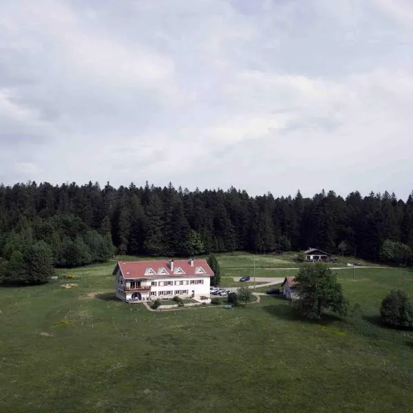 Chambre d'hôtes LES BRIMBELLES, Hotel in Gérardmer