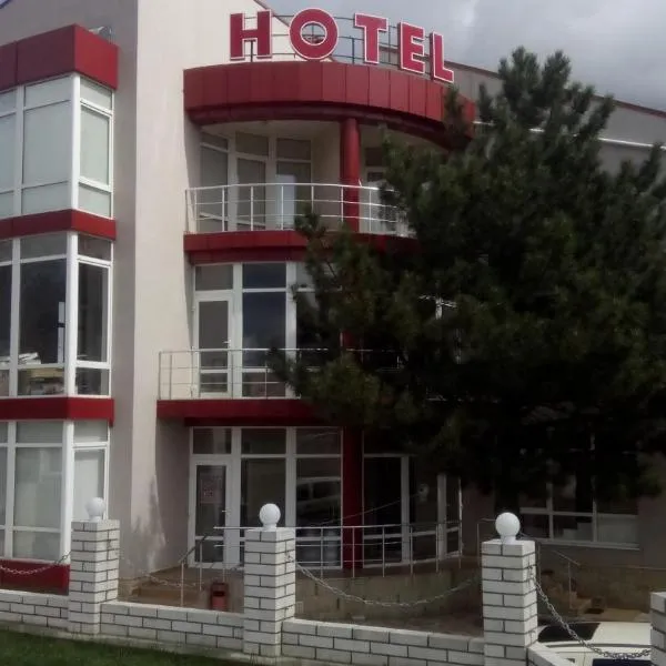 Hotel Paulina, hotel i Făleşti