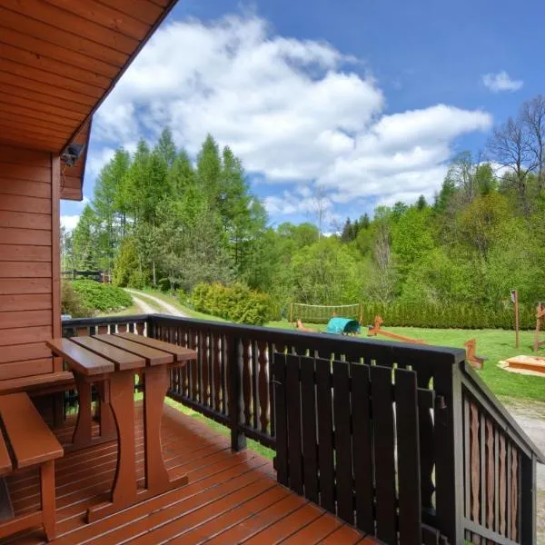 Domki Zacisze nad wodą, hotell sihtkohas Baligród