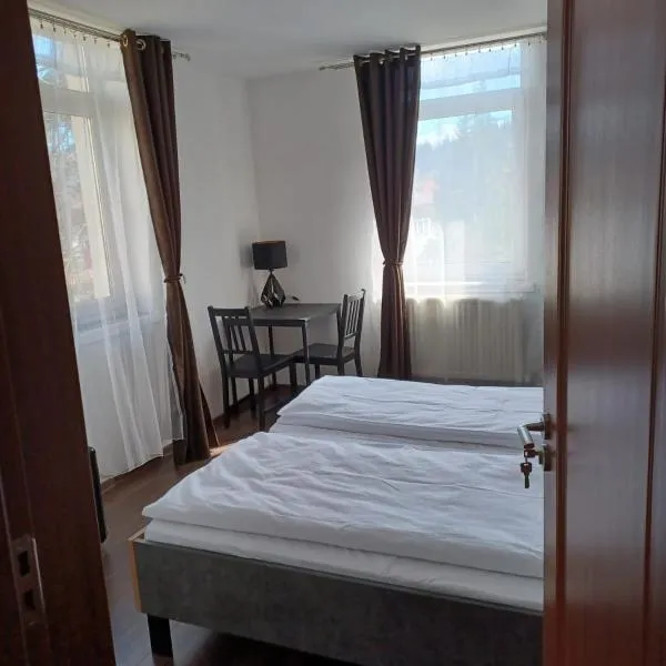 Vila Oltețul, hotel in Predeal