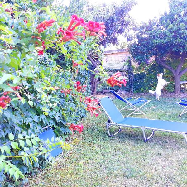 2 bedrooms apartment with sea view enclosed garden and wifi at Canosa Sannita