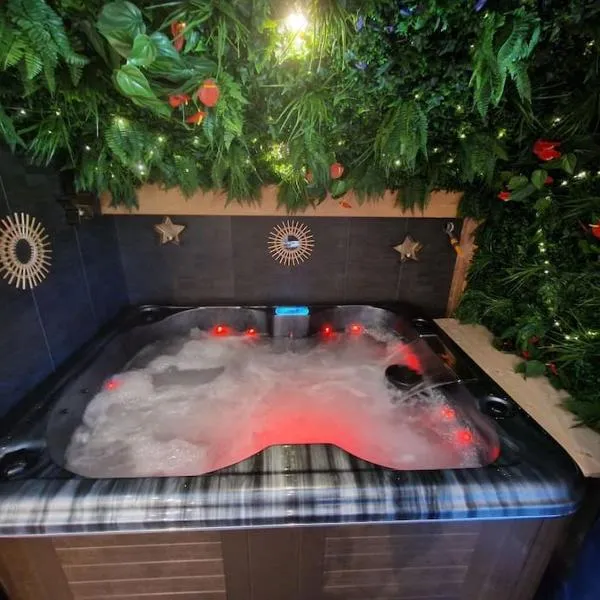 Cocon tout confort spa privatif、Mieussyのホテル