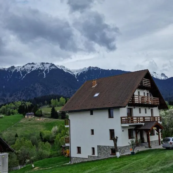 Casa Calea Haiducilor, hotel in Sohodol