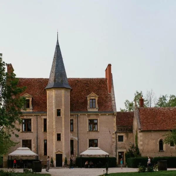 Château - Hôtel Le Sallay, hotel a Magny-Cours
