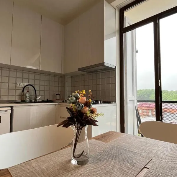 Izo's Home – hotel w Kutaisi