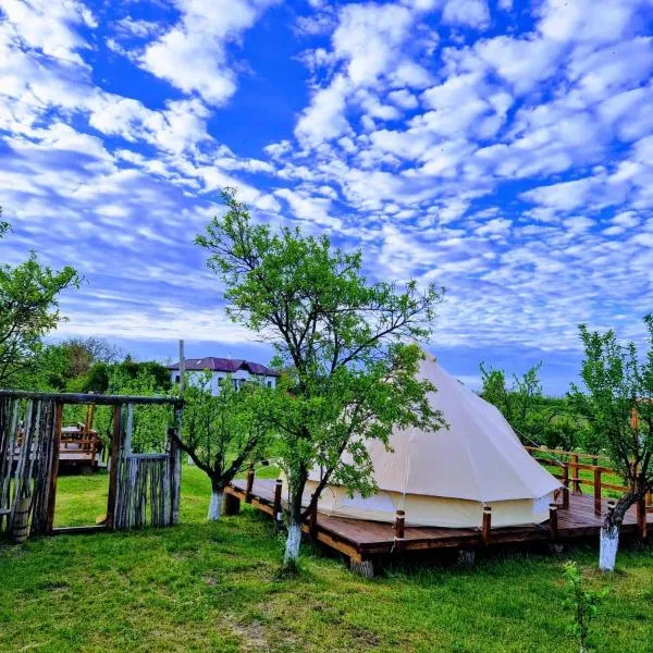 Glamping Livada cu lavanda, hotel in Podişor
