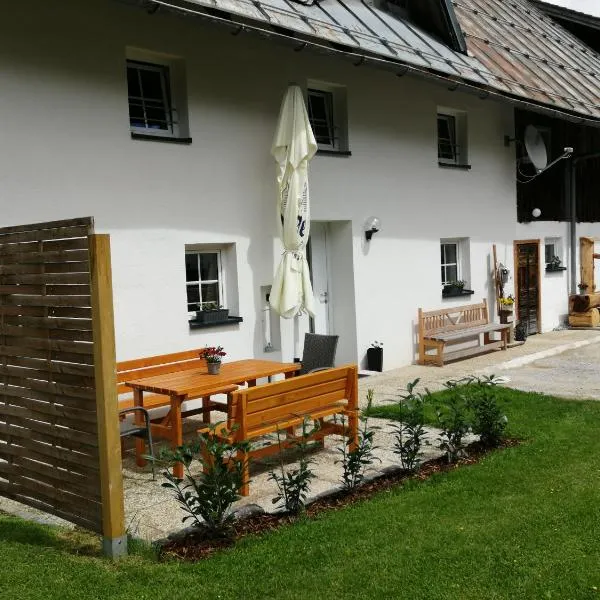 Ferienhaus Krallinger, hotel in Abtenau