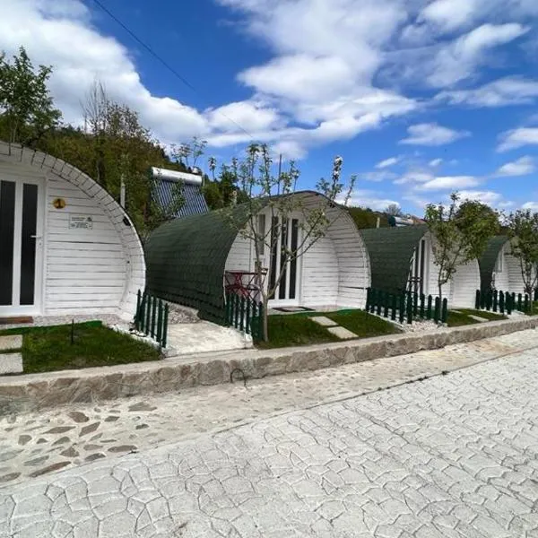 Casutele verzi din Ocnele Mari, hotel v destinaci Ocnele Mari