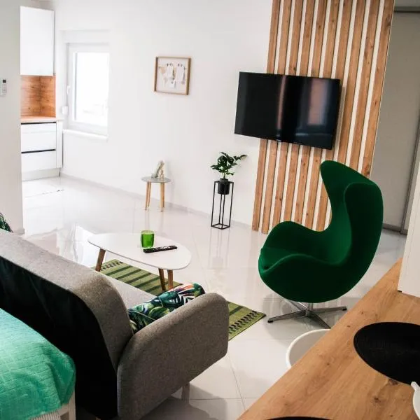 Apartments Lisinski - Private parking, hotel in Zagreb