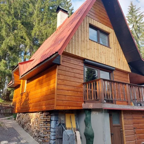 Chata u lesa, hotell sihtkohas Prostřední Bečva