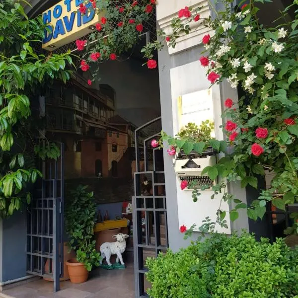 David Hotel - Ethno style, ξενοδοχείο στην Τιφλίδα