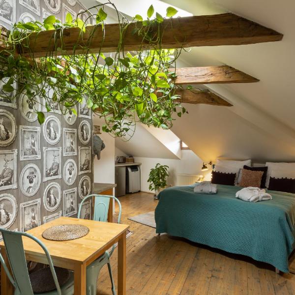 Romantic Bohemian Studio in Old Town Prague