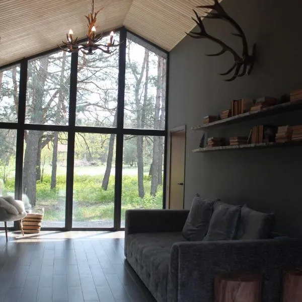 Villa Forest, hotel in Dumantsy