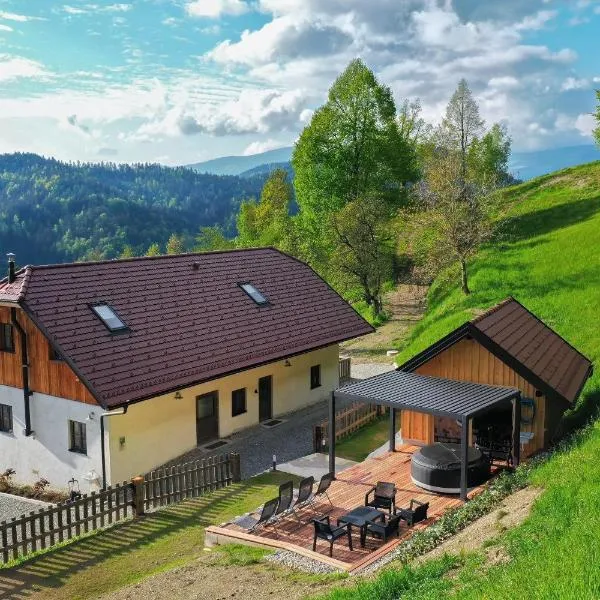 Villa Richterberg with Sauna & Hot Tub, Hotel in Slovenj Gradec