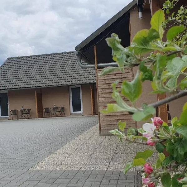 Apartmány DoLosin, hotel ve Velkých Losinách