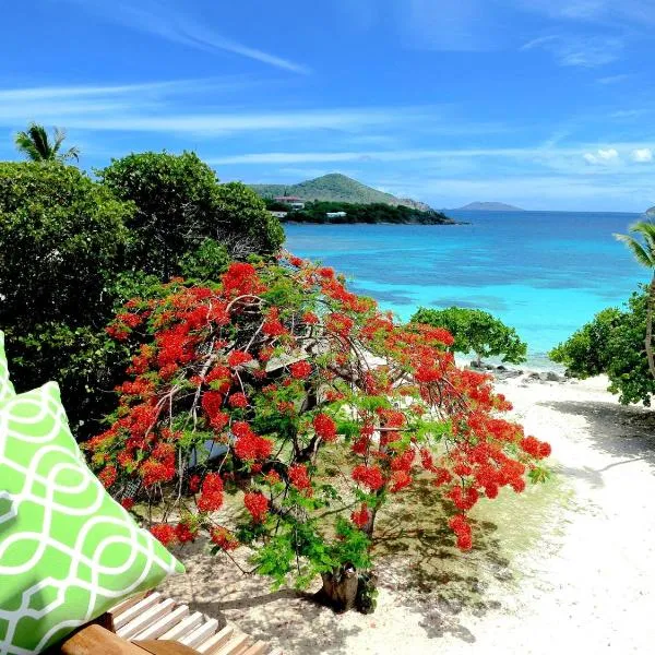 Luxury Beachfront Duplex Villa on Sapphire Beach I, khách sạn ở East End