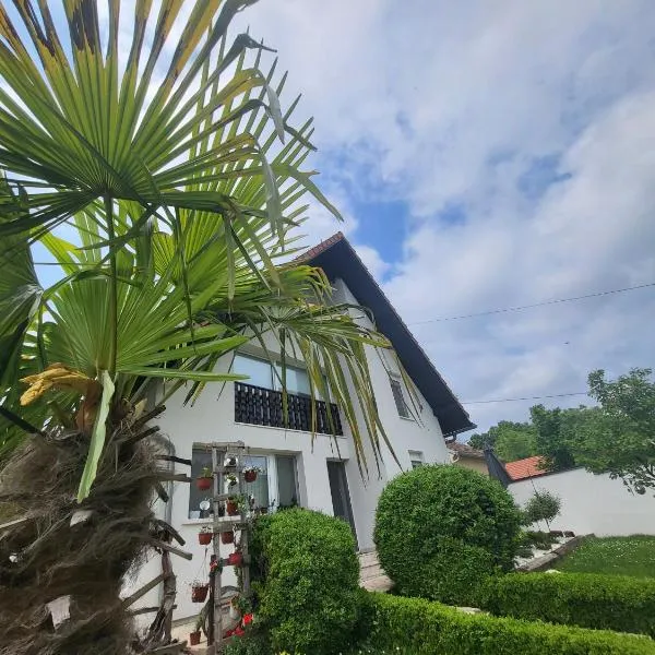 Vila Jovana，位于维尔蒂尼克的酒店