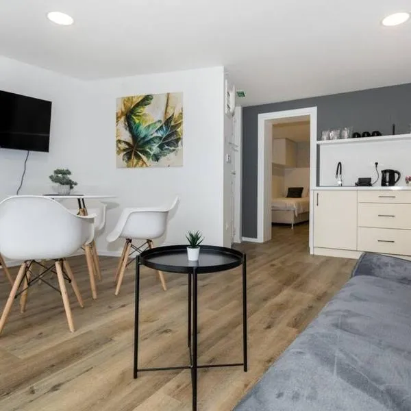 Royal Grey Apartment、サラエボのホテル