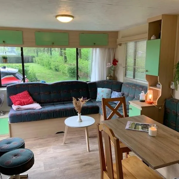 Stacaravan huren in het hart van bosrijk Drenthe op Recreatiepark De Tien Heugten, hôtel à Schoonloo