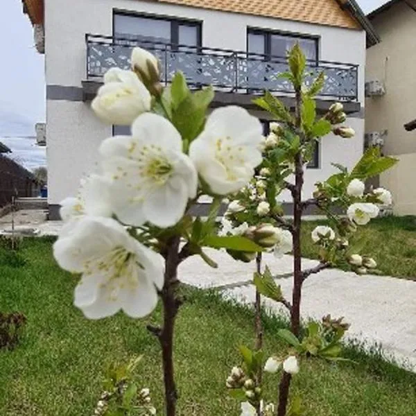 Casuta Noastra - Sulina, hotel in Sulina
