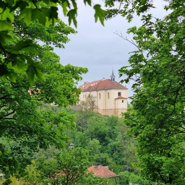 Nižbor samostatný domek v zahradě, hotel en Nižbor