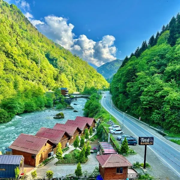 TUVA VİLLA Bungalov, hotel in Çamlıhemşin