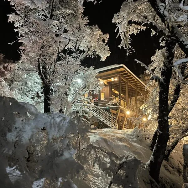Malga Andina, viešbutis mieste Malalcahuello