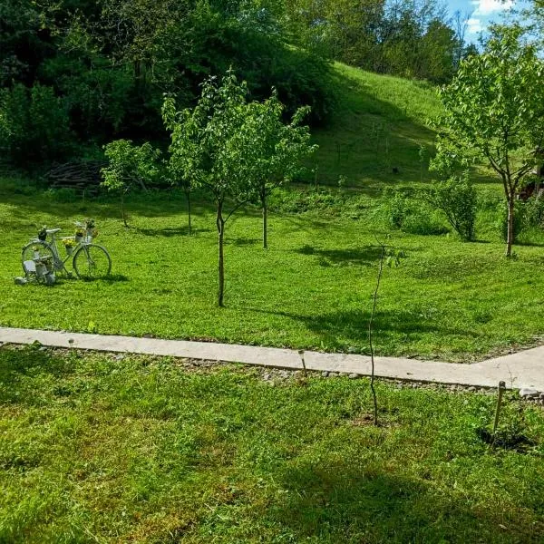 Camping Ciungani, hotel in Ciungani