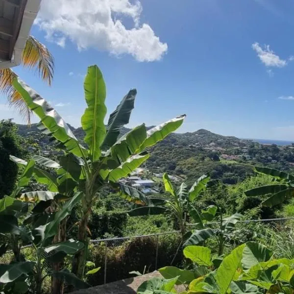 Tranquility with Stunning View, hotel v destinaci Morne Jaloux Ridge