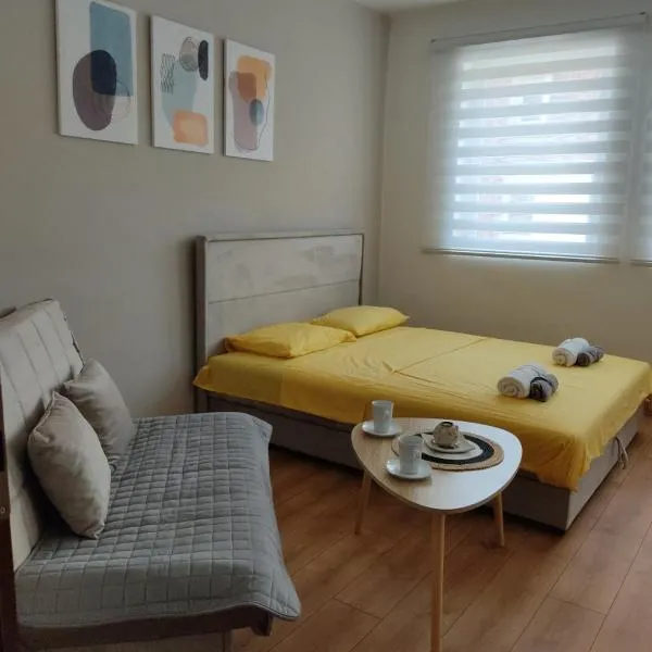 Apartman Andjela, Hotel in Plužine