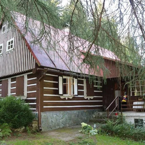 Chalupa pod Modřínem、コジェノフのホテル