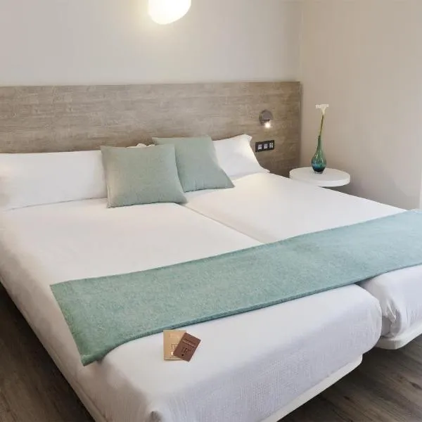 Hotel Dos Rios Central, hôtel à Aínsa