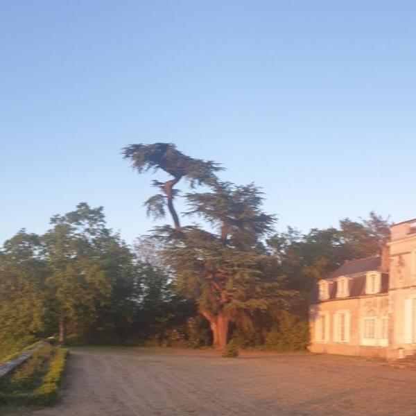 Château de Colliers