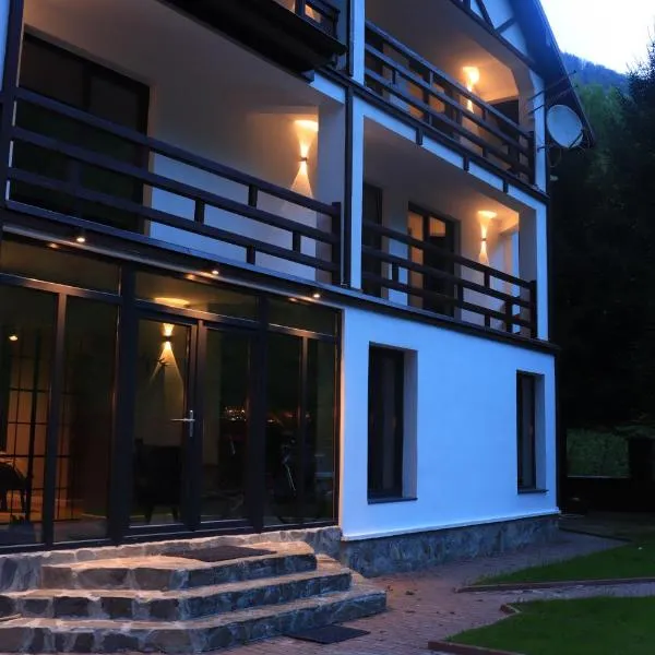 Wild Hunts Lodge Retezat, hotel in Raul Mare