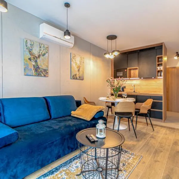 Apartamenty Kalinowa z sauną i bawialnią - Dream Apart, hotel v destinaci Szczyrk