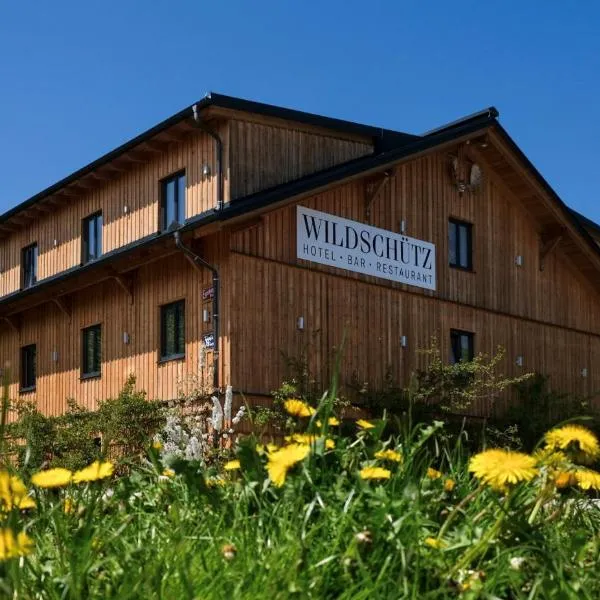 Aktivhotel Wildschütz，位于格蒙登的酒店