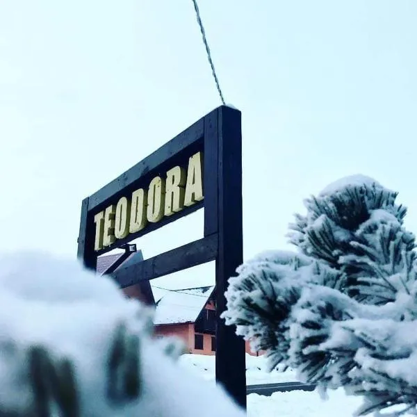 Casa Teodora Rânca、ルンカのホテル