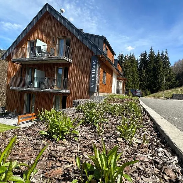 Apartmány u Lesa, hotel v destinaci Dolní Morava