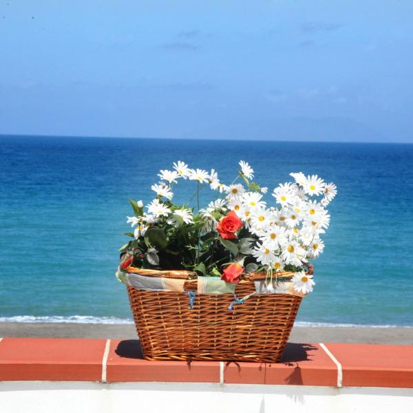 Vacanze al Mare Patrizia's Sweet Home