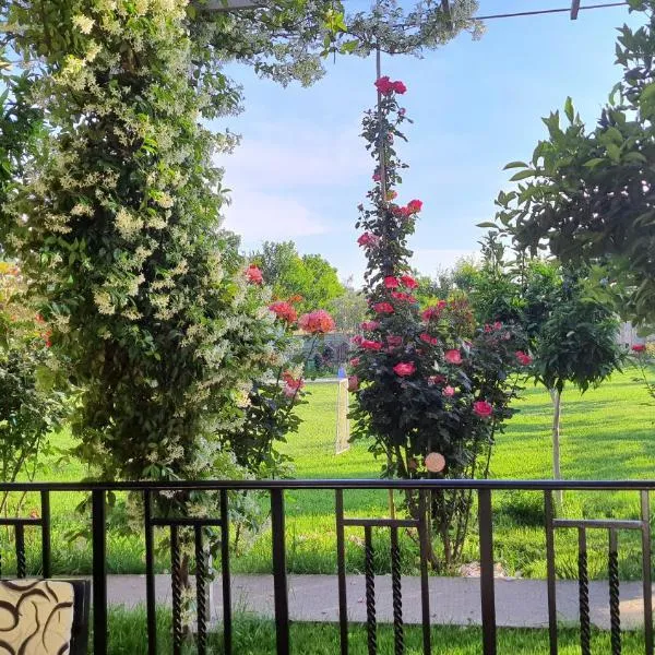 Margjelo's Twin Houses in the garden, ξενοδοχείο στη Σκόδρα
