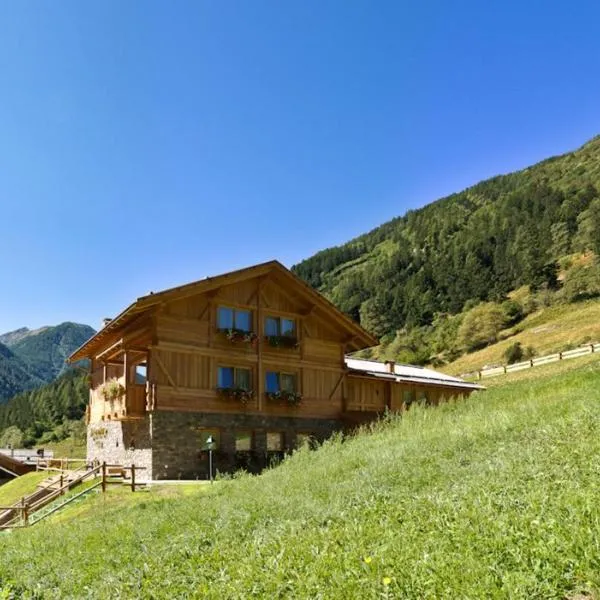 Hotel Chalet Alpenrose Bio Wellness Naturaktivhotel, hotel em Cogolo