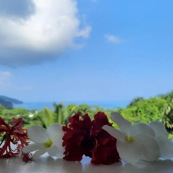 Cella Villa, hotel in Anse a La Mouche