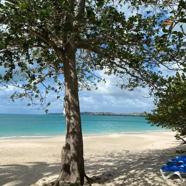Beach Villa, hotel in Five Islands Village