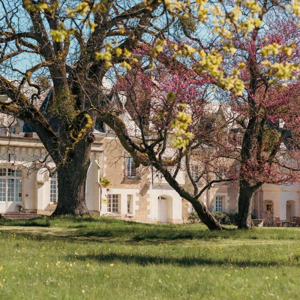 Château De Razay