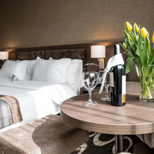 Holiday Inn Dąbrowa Górnicza-Katowice by IHG, hotel i Dąbrowa Górnicza